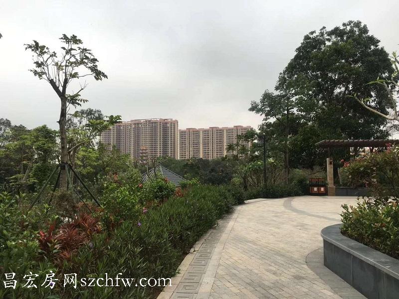QQ图片20190508200826.jpg