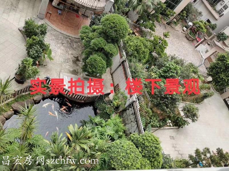 QQ图片20190708090214.jpg