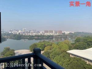 松山湖北部片區【荷畔花園】集體紅本房 豪裝通燃氣觀湖景14800元/平起首付3成起