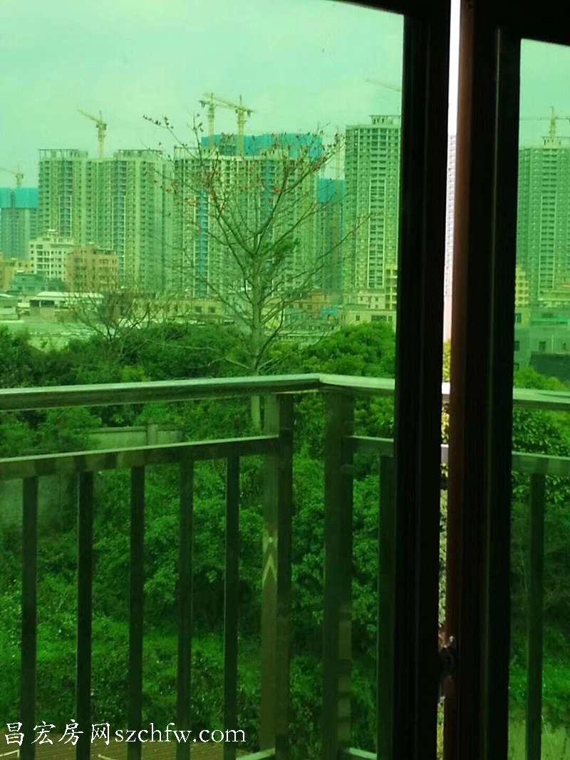 QQ图片20190404133041.jpg