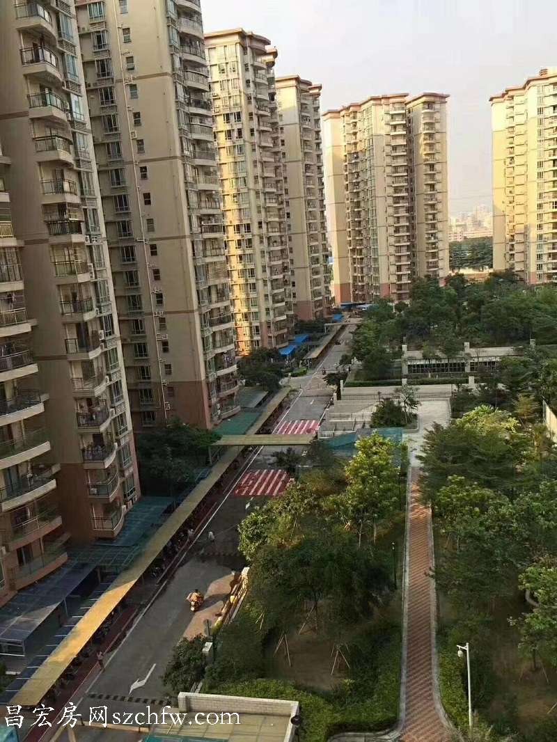 19栋沙井新桥景盛豪庭最好村委统建楼20套保留刚需户型顶级配套60绿化